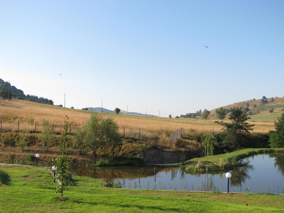 קופריבשטיצה Park Hotel Eagle Stone מראה חיצוני תמונה